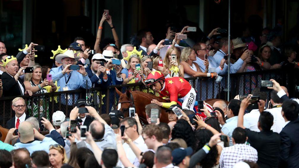 Justify, the 13th Triple Crown winner, makes his way through the crowd after landing the Belmont Stakes