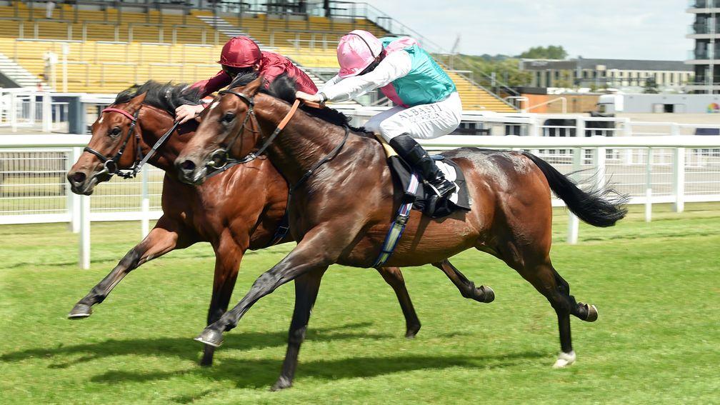 Maximal: son of Galileo appeals as a stallion prospect, being out of a half-sister to Frankel