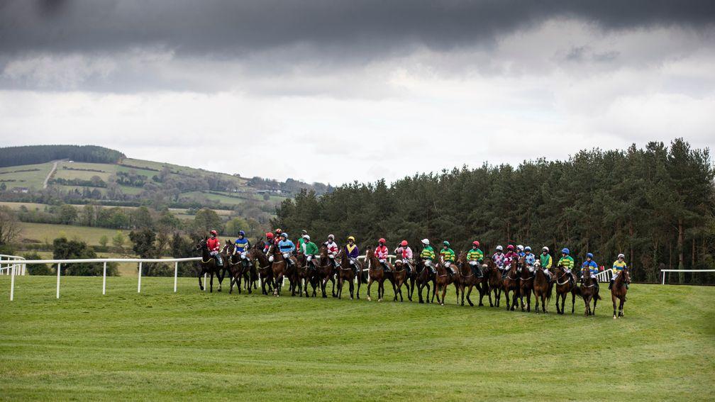 Punchestown is set for a makeover to accomodate more Flat racing at the venue