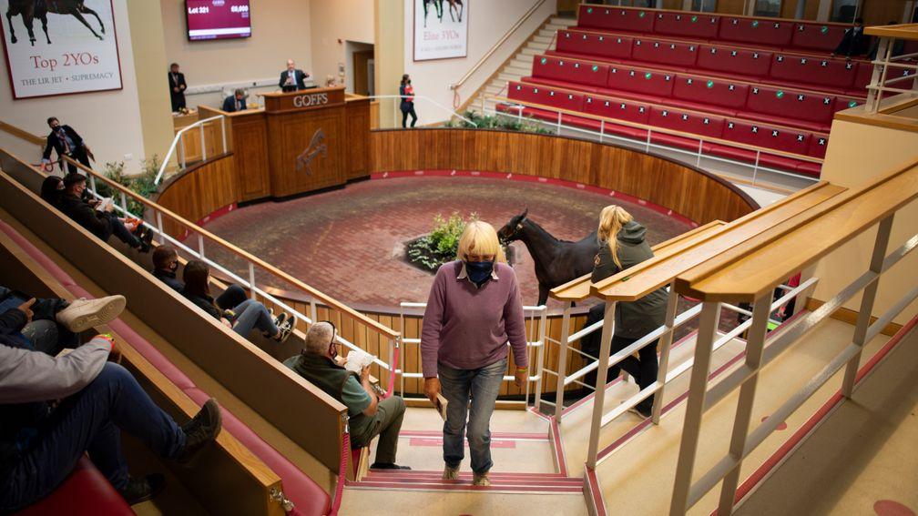 Covid-19 precautions in effect in Doncaster during the Goffs UK Premier Yearling Sale