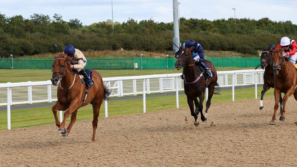 Glen Shiel (Paul Mulrennan) proves far too good for Danzeno and Harry's Bar (right) in the feature 6f conditions race at Newcastle