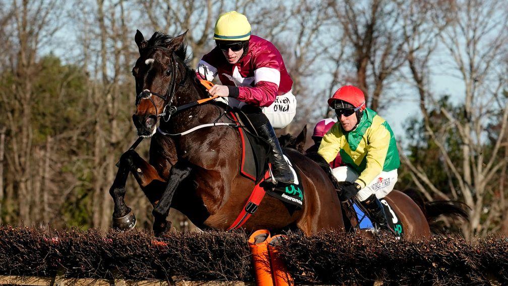 Apple's Jade: brilliant mare is being strongly considered for the Champion Hurdle
