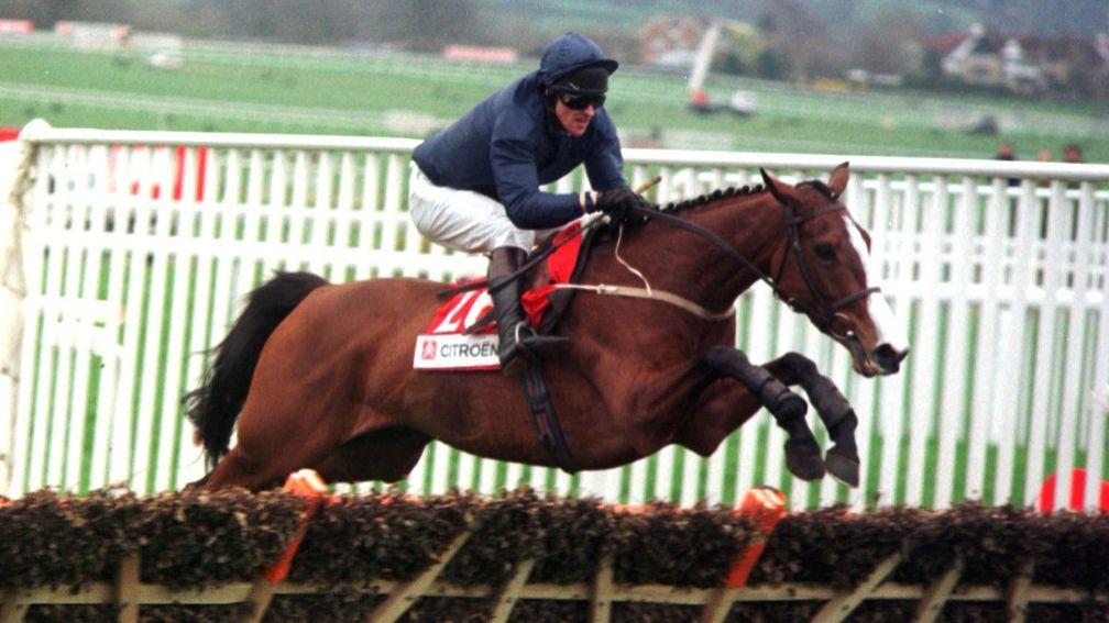 French Ballerina and Graham Bradley jumping the last to win the Supreme Novices' Hurdle at the 1998 Cheltenham Festival