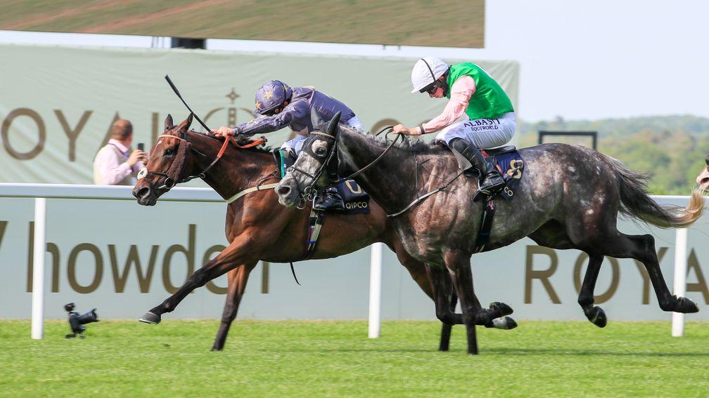 Reshoun (far side) fends off the challenge of M C Muldoon in the Ascot Stakes on Tuesday