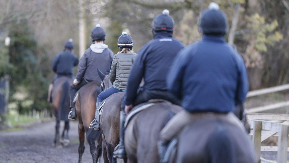 LAMBOURN, ENGLAND - JANUARY 05:  Racehorse make their way to Mandown gallops from Warren Greatrex's Uplands yard on January 5, 2018 in Lambourn, England. (Photo by Alan Crowhurst/Getty Images)