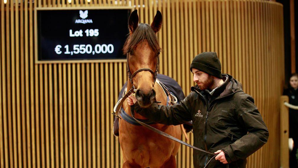 The hammer falls at €1.55 million for Hello You