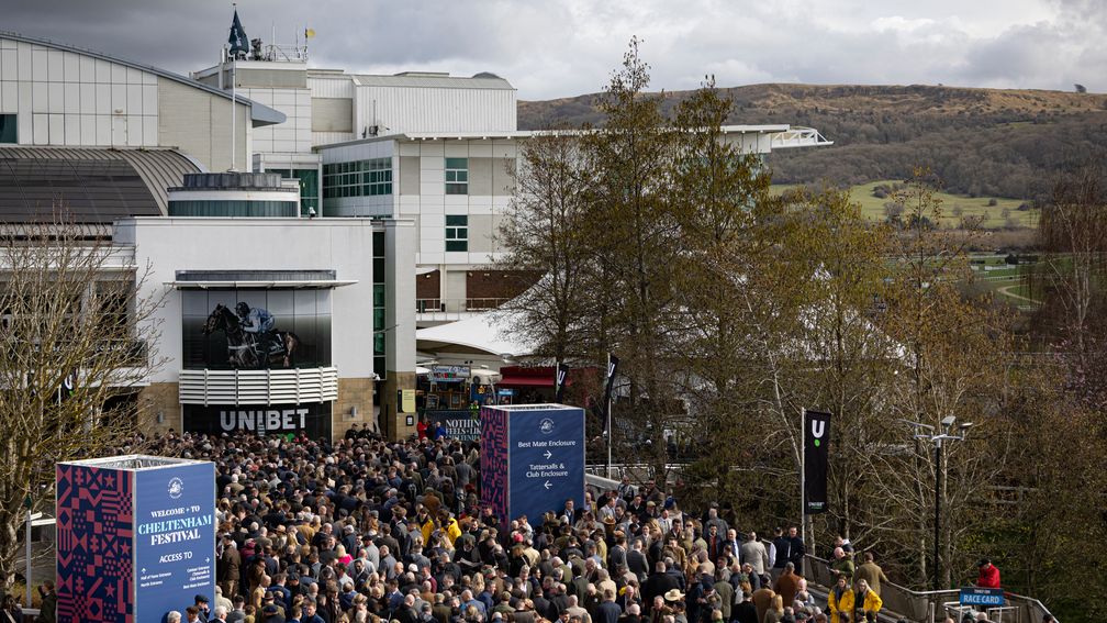 Bumper crowds gather at the gates