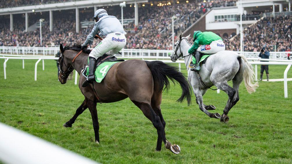 Santini (near side) gets the better of Bristol De Mai in the Cotswold Chase