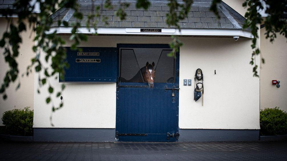 Galileo: master of all he surveys at Coolmore