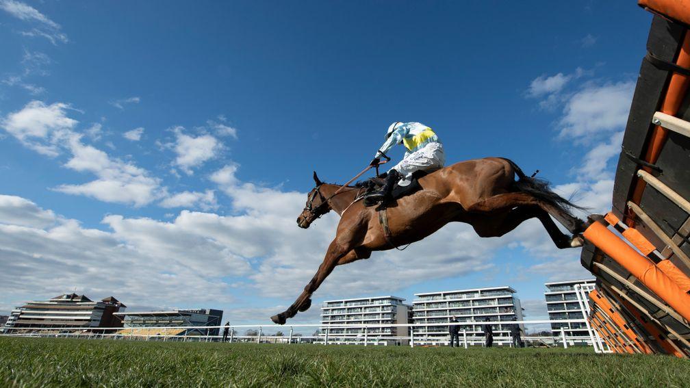 Millers Bank (Harry Bannister) jumps the final flight and wins the 2m handicap hurdleNewbury 6.3.21 Pic: Edward Whitaker/Racing Post