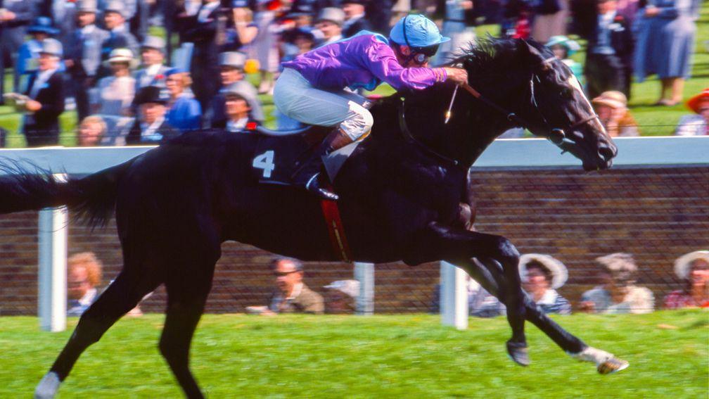 Chief Singer won the Coventry Stakes on his debut in 1983