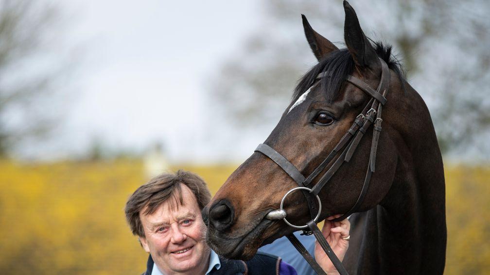 Dual Champion Chase hero's half-brother to star at Goffs Land Rover Sale