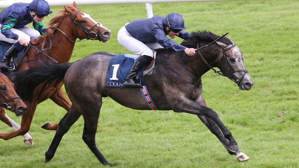 The Antarctic is on course for a tilt at the Norfolk Stakes after this victory at Naas