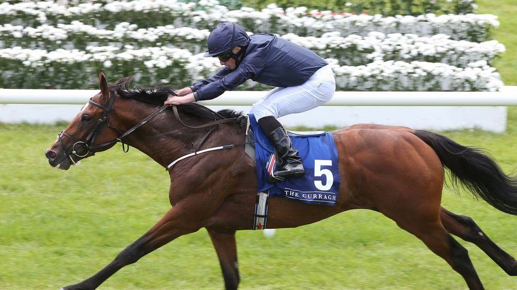 Gustav Klimt strides out in taking fashion to score at the Curragh recently