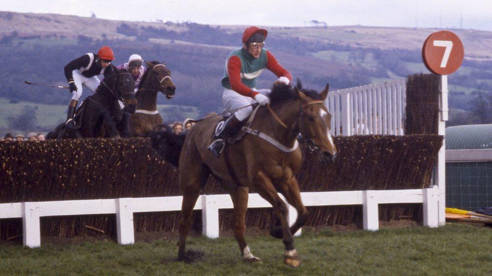 Little Owl and Jim Wilson win the 1981 Cheltenham Gold Cup