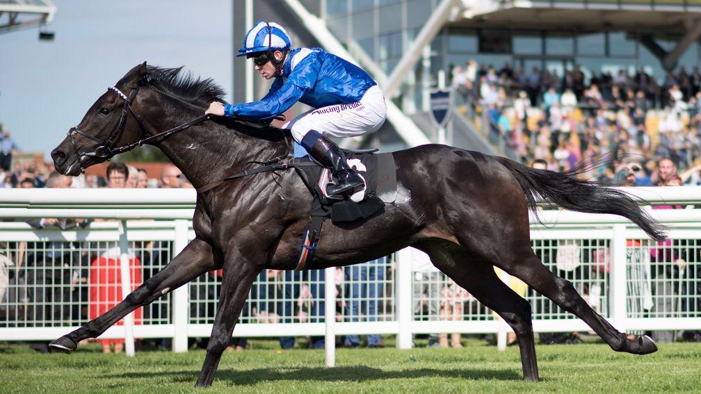 Emaraaty: expected to become a Group 1 horse at some point