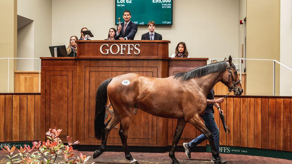 Galbertstown Stables' Walk In The Park gelding out of Nova Stella is knocked down to Kevin Ross and Harry Fry for £95,000