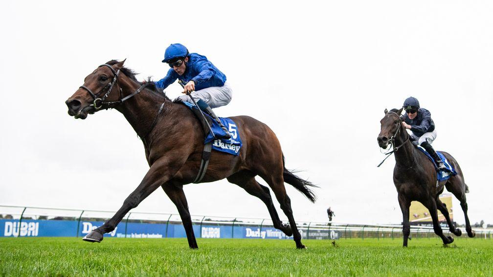 Pinatubo had Arizona's measure when the pair clashed in the Darley Dewhurst Stakes last October