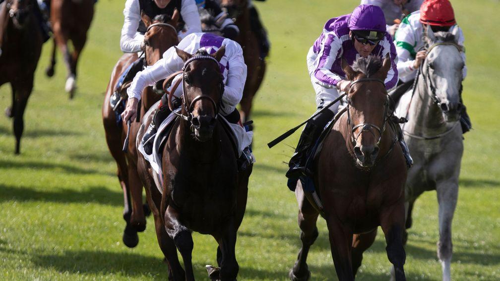Fiscal Rules (left) was just edged out by Wichita in a Curragh maiden last August