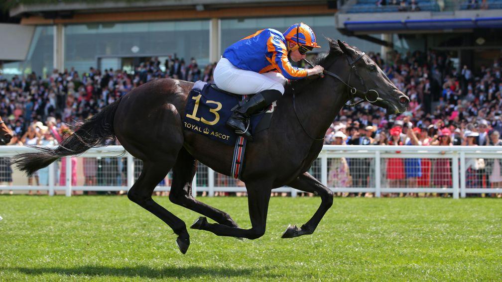 ASCOT, ENGLAND - JUNE 17:  Meditate ridden by Ryan Moore wins The Albany Stakes on day four of Royal Ascot 2022 at Ascot Racecourse on June 17, 2022 in Ascot, England. (Photo by Alex Livesey/Getty Images)
