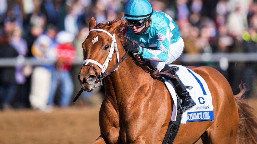 Monomoy Girl: will be aiming to win the Cotillion Stakes en route to Breeders' Cup glory
