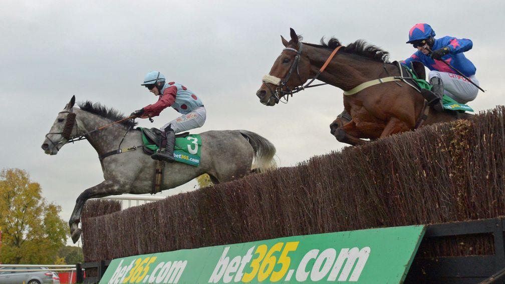 Cue Card (right) in last year's Charlie Hall Chase