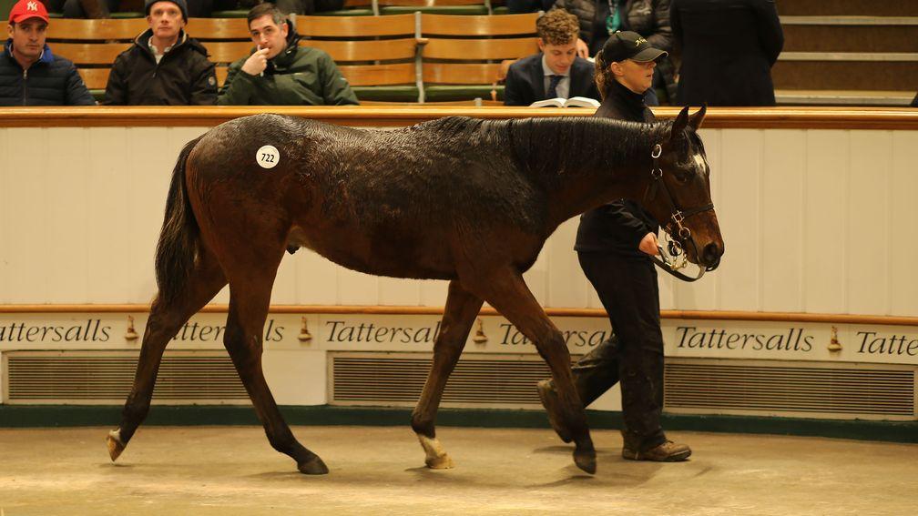 The Highland Reel colt out of Self Centred takes to the Tattersalls ring