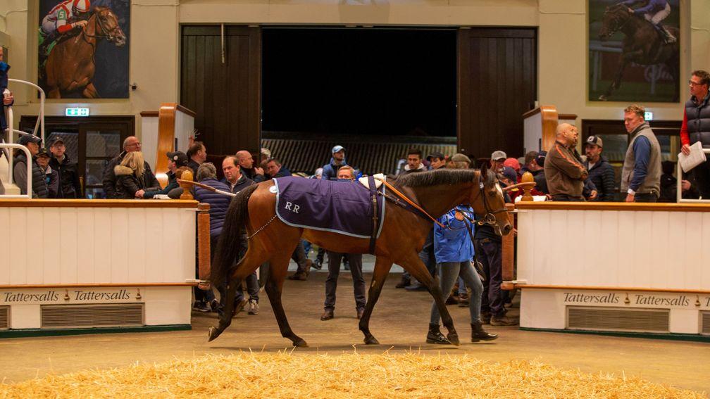 Grocer Jack takes centre stage at Tattersalls