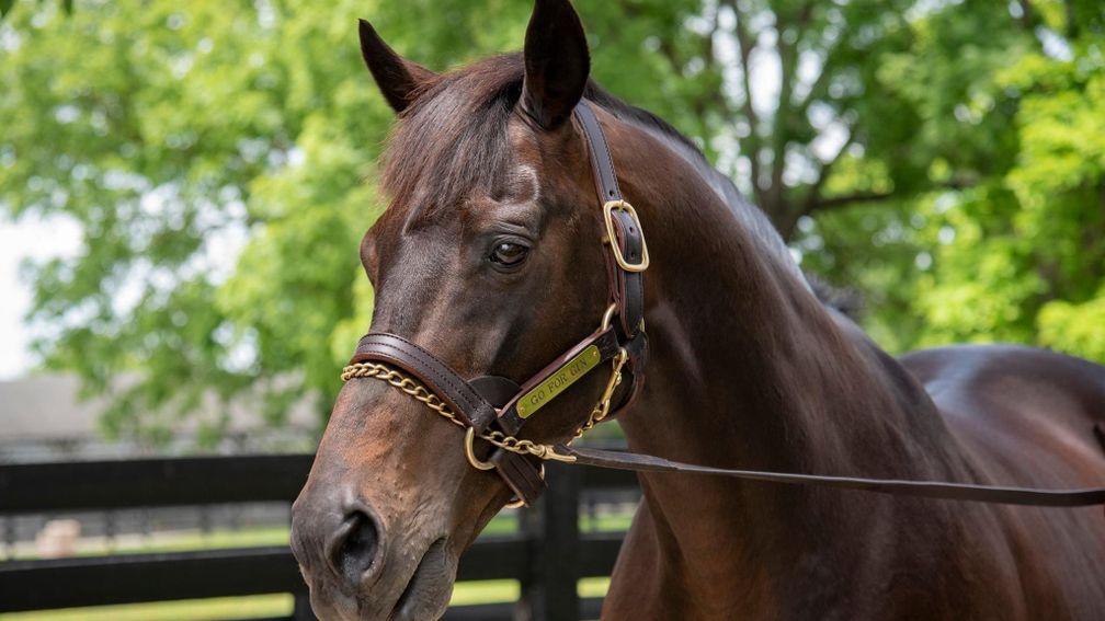 Go For Gin: 1994 Kentucky Derby winner and Grade 1-winning sire has died aged 31