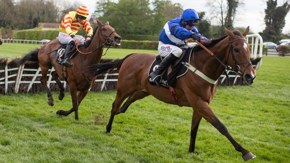 Reserve Tank (in front): won top-level prizes at Aintree and Punchestown last season