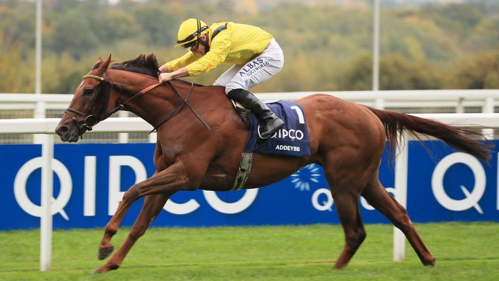 Addeybb: bidding for history in the Champion Stakes