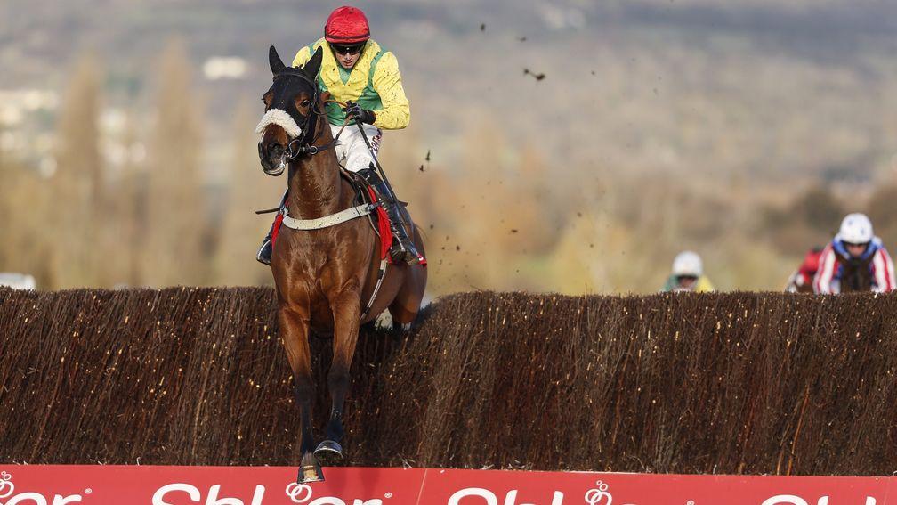 Fox Norton out on his own in the Shloer Chase