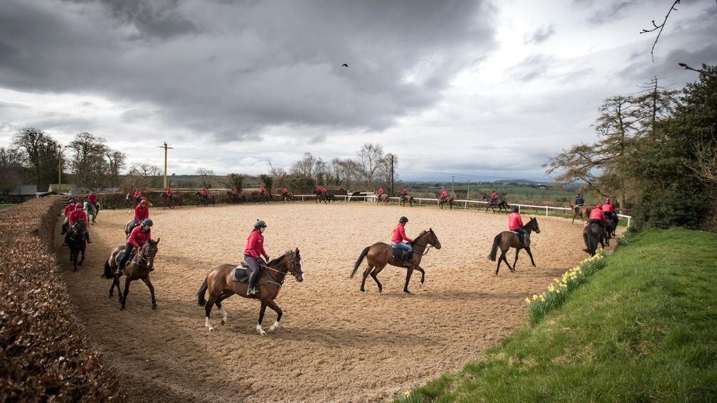 Jessica Harrington's string warm up in the arena.Commonstown Stables.Moone.Photo: Patrick McCann 10.04.2018