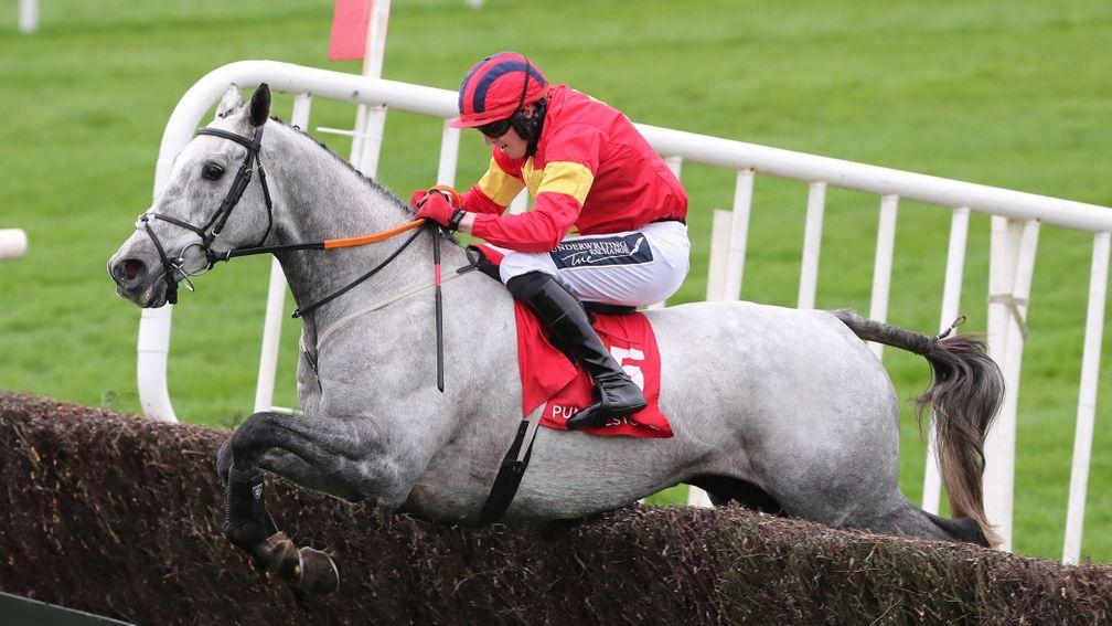 Vanillier: a best-priced 12-1 for the Grand National