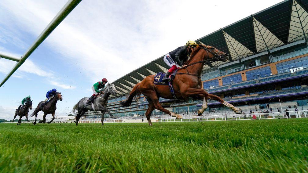Stradivarius: on his way to an electric third triumph in the Gold Cup at Royal Ascot