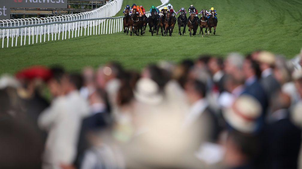Increasing horse and spectator levels is among the Levy Board's key objectives for the next three years