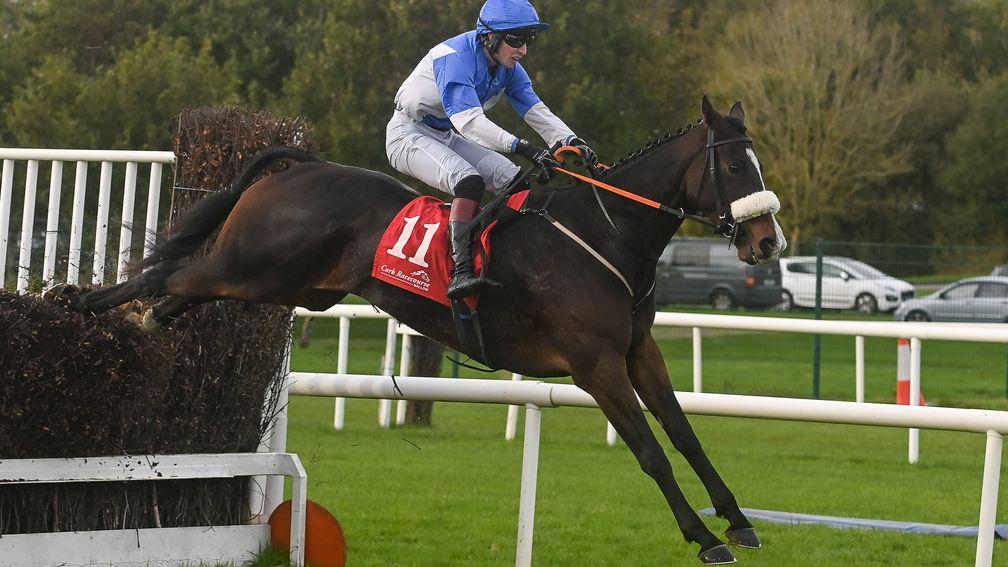 Typical Thomas and Mark McDonagh land the Listed handicap chase
