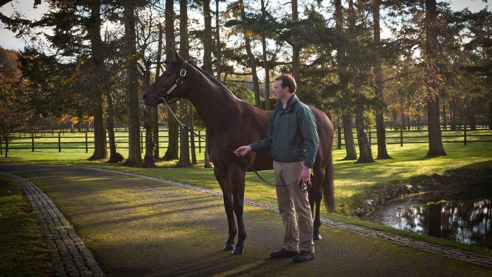 Sea The Stars: Gilltown Stud resident among 17 sires who covered over 200 mares in 2020