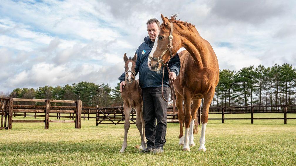 Andrew Rawlin with Dawn Of Hope and her 2023 Pinatubo colt foal