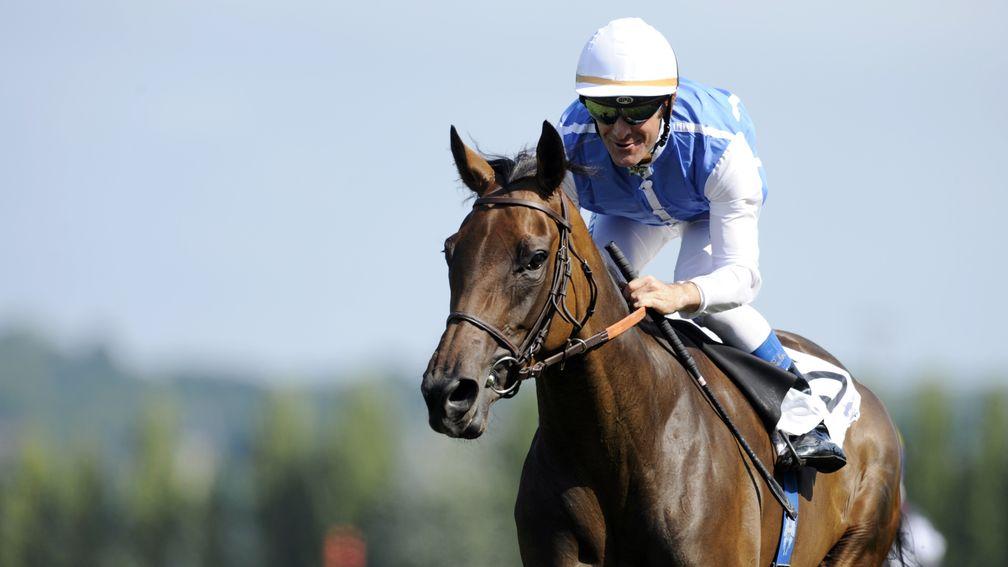 Goldikova: the legendary 14-time Group 1 winner is an 'aunt' of Galikeo