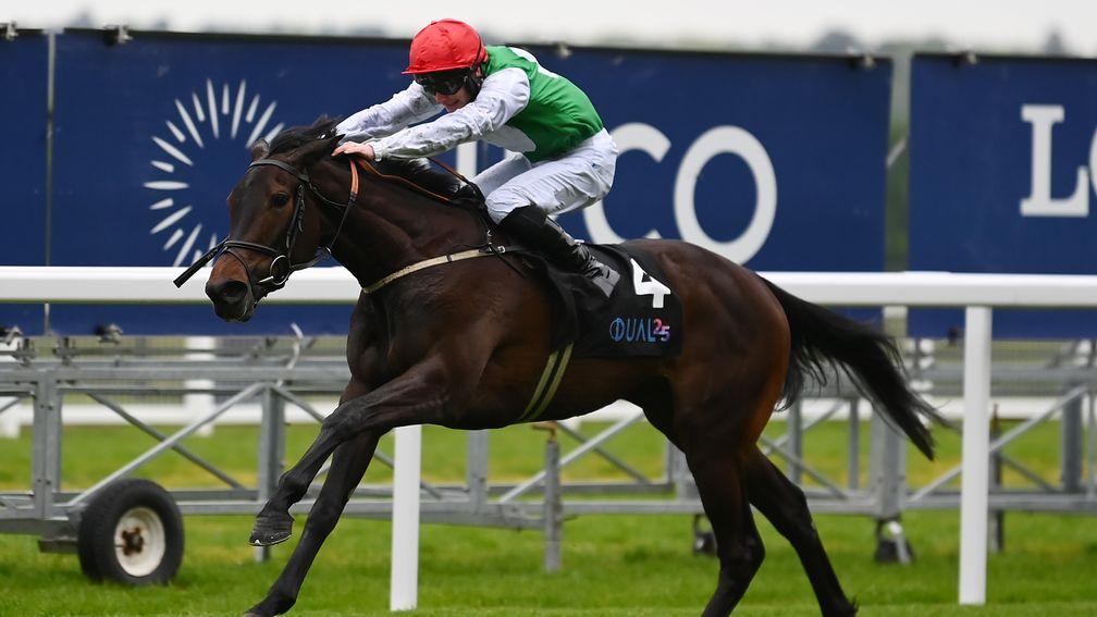 Shagpyle wins the fillies' maiden at Ascot on Friday