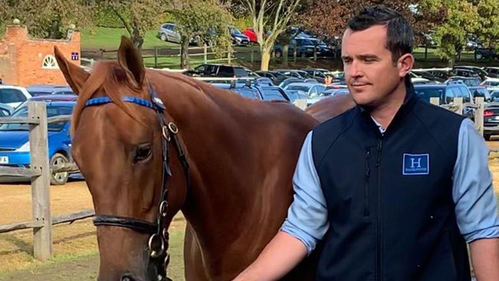 Tom Hughes: maintains high standards at Hazelwood Bloodstock and at the sales