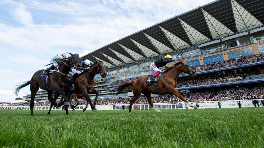 Stradivarius wins the Gold Cup for a second time at Ascot
