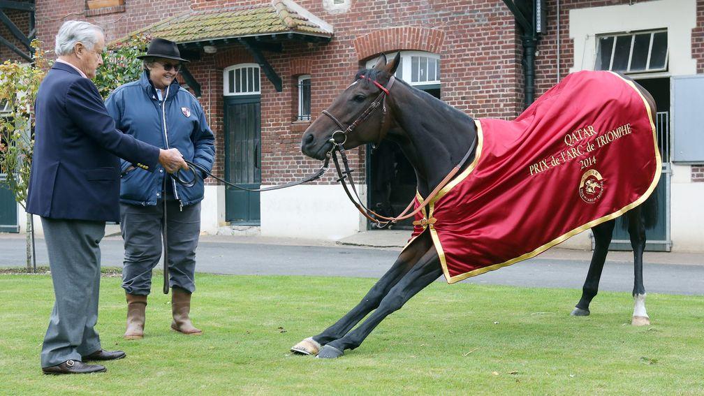 Treve: a sister to the Prix de l'Arc de Triomphe heroine is set to come under the hammer at Arqana