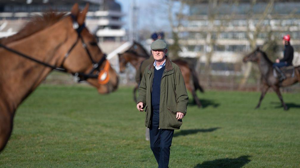 Willie Mullins: holds the key to the bumper at Limerick