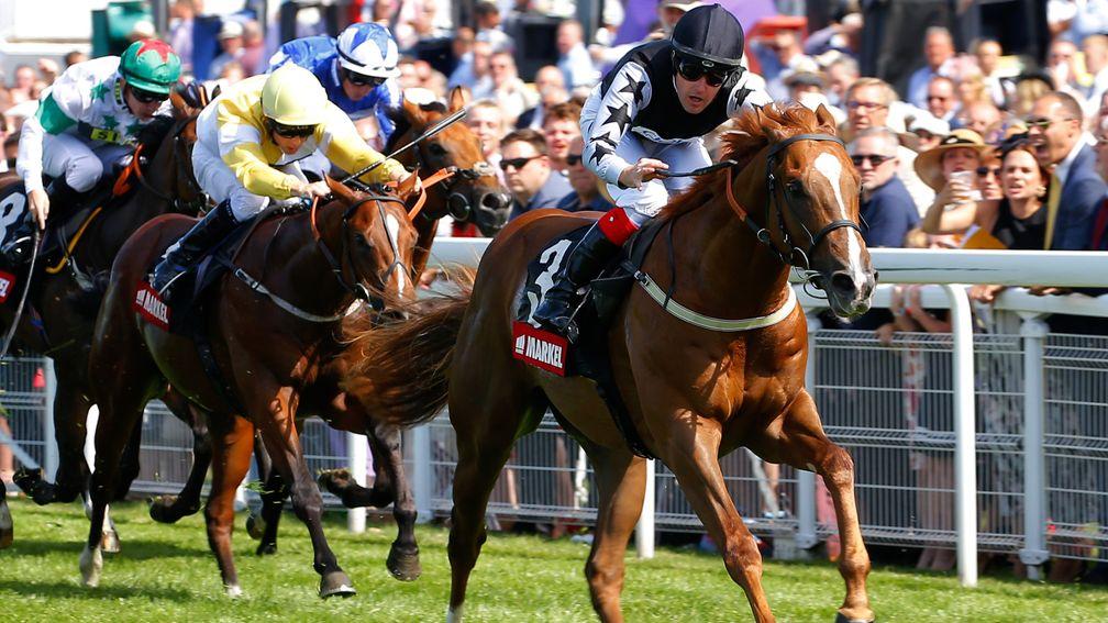 Rumble Inthejungle: Molecomb winner could head for the Middle Park Stakes next