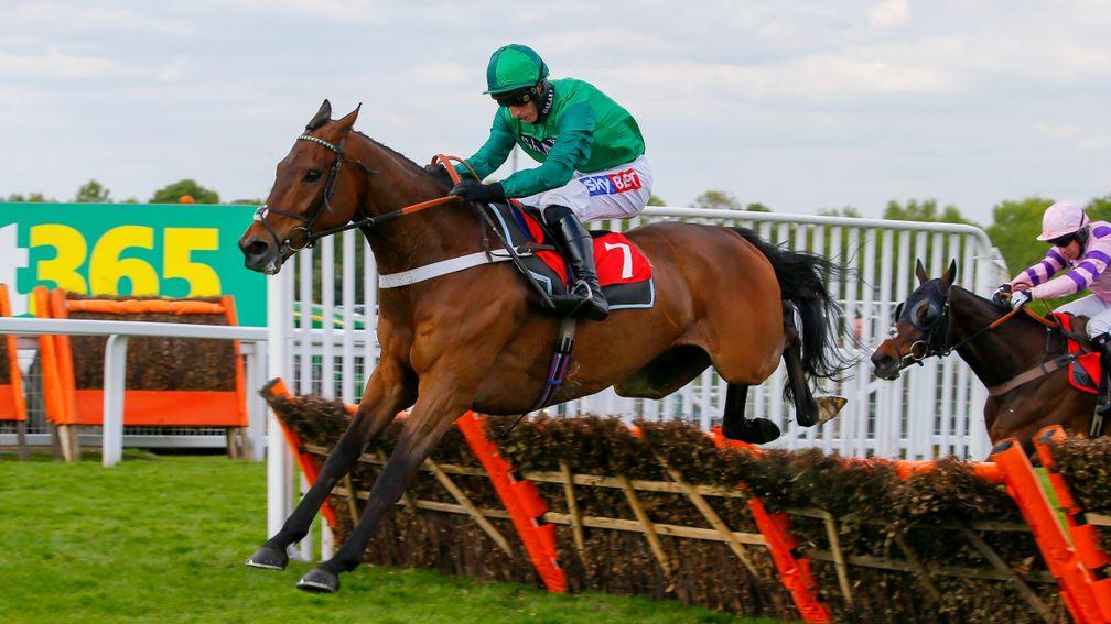 L'Ami Serge: looks to have a solid chance in the Stayers' Hurdle
