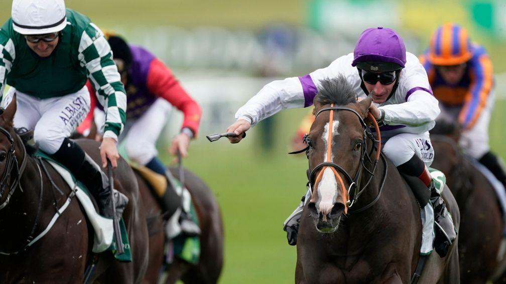 Supremacy (purple cap): the Middle Park Stakes hero is one of nine black type performers from Mehmas's debut crop