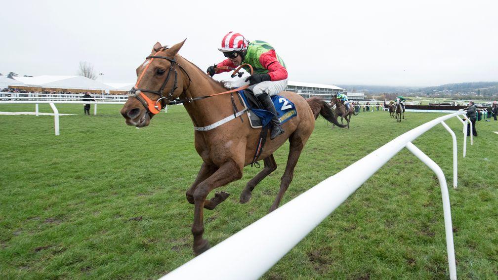 Definitly Red: top-class stayer is a previous winner of the Grimthorpe Chase