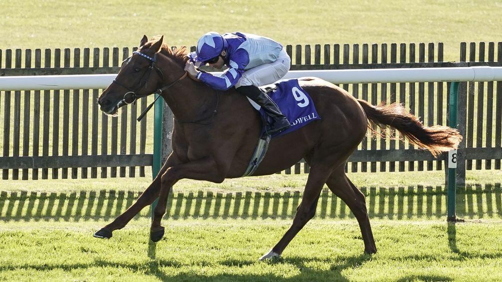 Skardu has run in two Guineas since winning the Craven Stakes